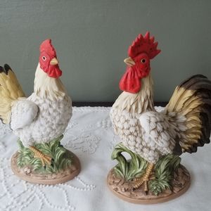 Chicken/rooster